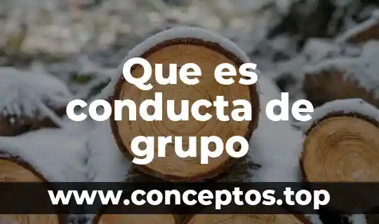 Que es conducta de grupo
