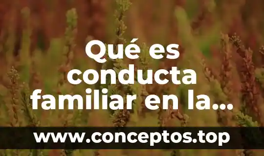 Que es etimología de etica 6 Qué es conducta familiar en la ética
