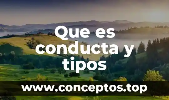 Que es un cuento y tipos de narrador 3 Que es conducta y tipos