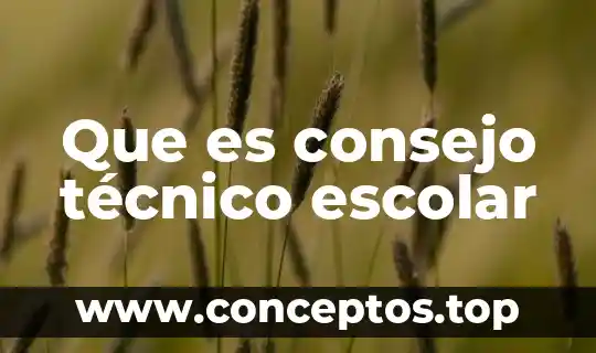 Que es consejo técnico escolar