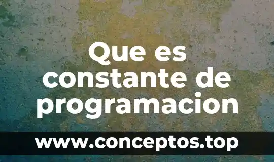 Que es constante de programacion