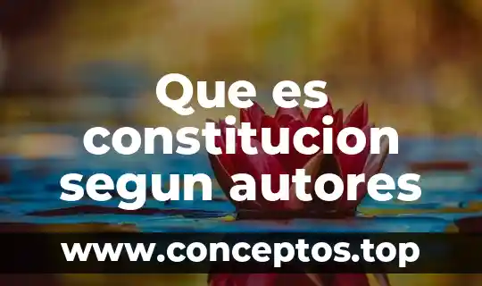 Que es constitucion segun autores
