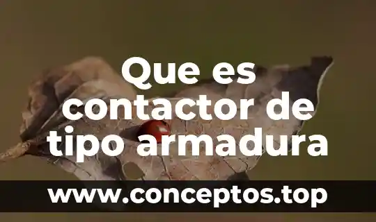 Que es contactor de tipo armadura