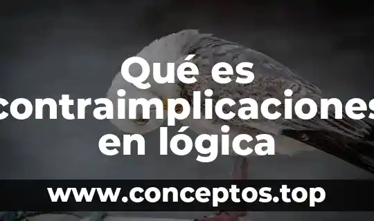 Que es significado y concepto sintaxis logica 7 Qué es contraimplicaciones en lógica