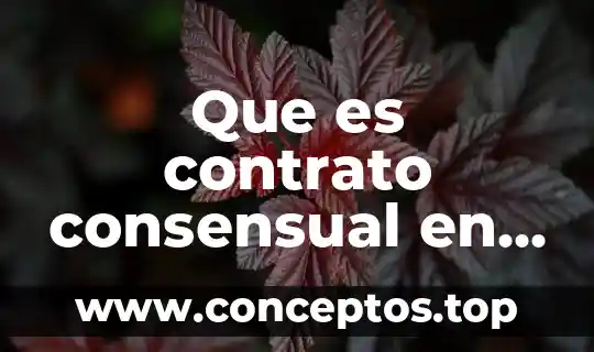 Que es contrato consensual en oposición a formal