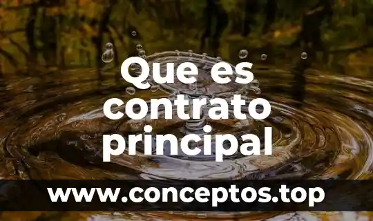 Que es contrato principal