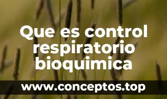 Que es un cuadro respiratorio 6 Que es control respiratorio bioquimica