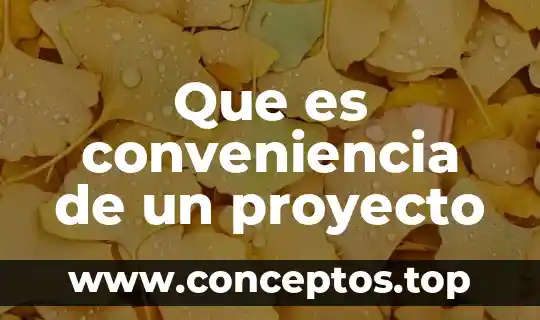 Que es conveniencia de un proyecto
