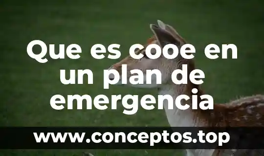 Que es la emergencia de una planta 5 Que es cooe en un plan de emergencia
