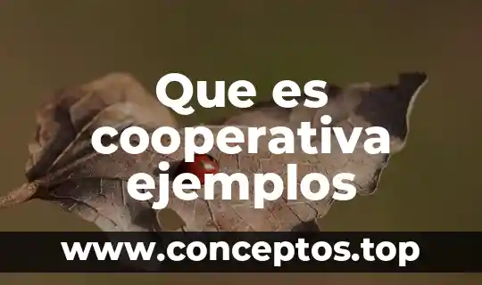 Que es cooperativa ejemplos