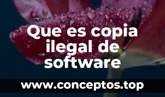 Que es copia ilegal de software