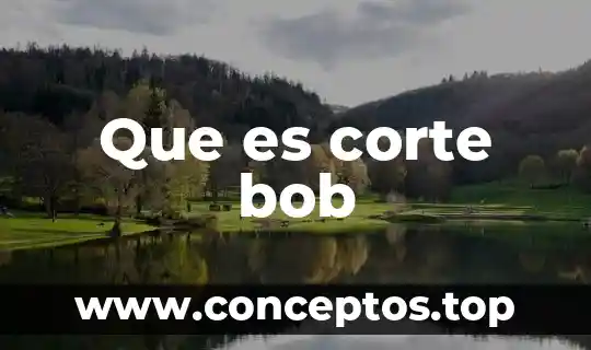 Que es la corte internacional de justicia de la onu 4 Que es corte bob
