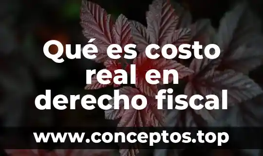 Que es bizantino en derecho 5 Qué es costo real en derecho fiscal