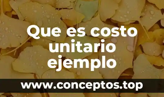 Que es costo unitario ejemplo