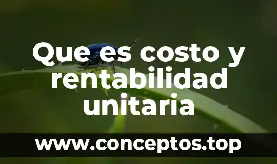 Que es costo y rentabilidad unitaria