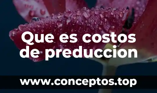 Que es costos de preduccion