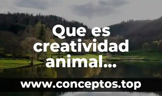 Cual es el animal que es mas cariñoso 8 Que es creatividad animal ejemplos