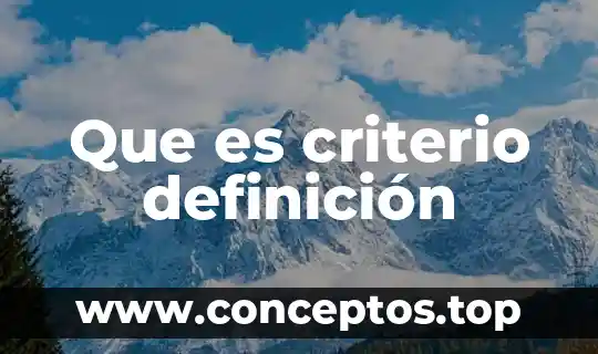 Que es criterio definición