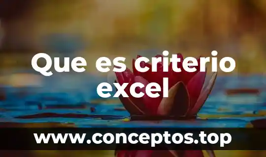 Que es una tabla de agentes excel 8 Que es criterio excel