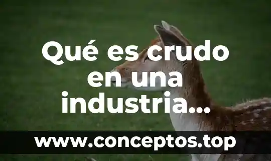 Qué es crudo en una industria petrolera