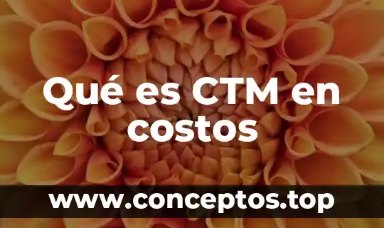 Qué es CTM en costos