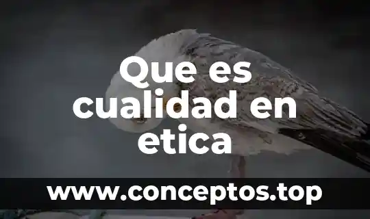 Que es cualidad en etica