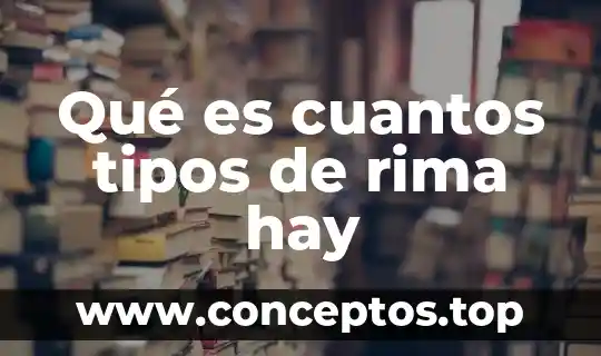 Qué es cuantos tipos de rima hay