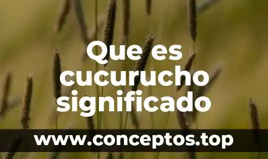 Que es cucurucho significado