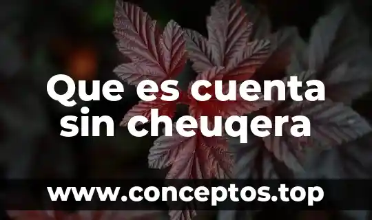 Que es una cuenta bancaria ipid 4 Que es cuenta sin cheuqera