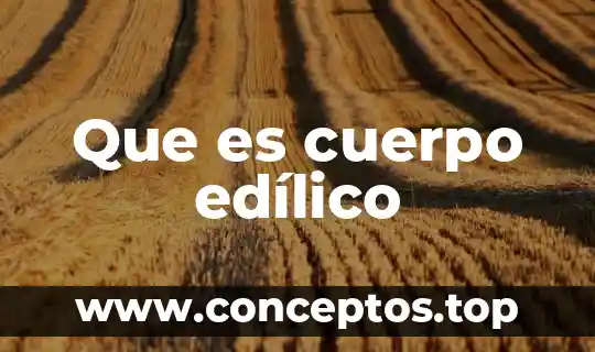 Que es cuerpo edílico