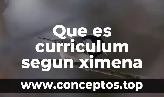 Que es curriculum segun ximena