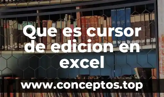 Que es criterio excel 4 Que es cursor de edicion en excel