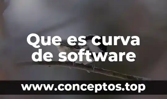 Que es curva de software