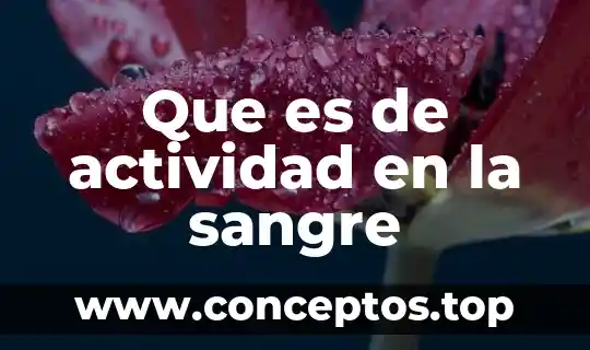 Qué es un análisis de una norma 3 Que es de actividad en la sangre