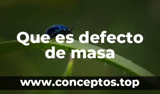 Que es defecto de masa