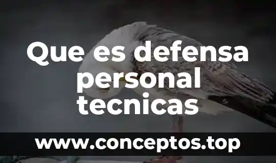 Que es defensa personal tecnicas
