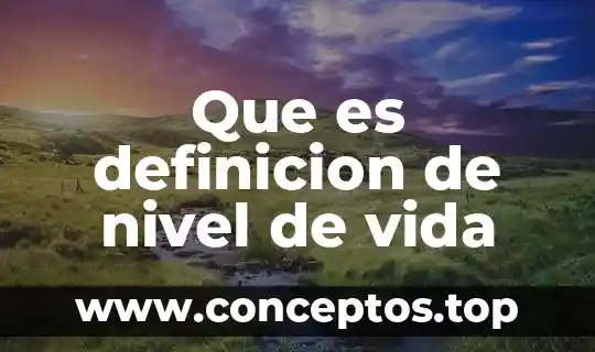 Significado de pesa que es definición 5 Que es definicion de nivel de vida