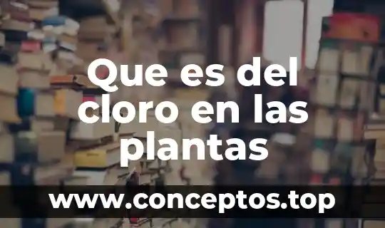 Que es del cloro en las plantas