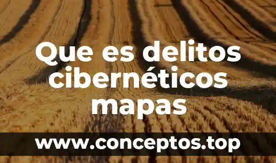 Que es delitos cibernéticos mapas