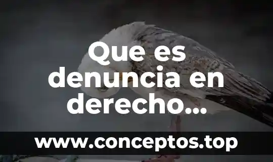Que es bizantino en derecho 3 Que es denuncia en derecho internacional