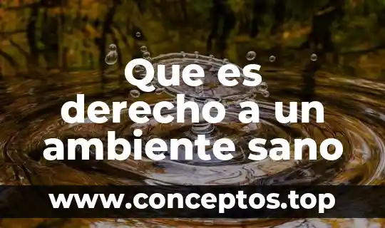 Que es epoca del romanticismo significado 8 Que es derecho a un ambiente sano