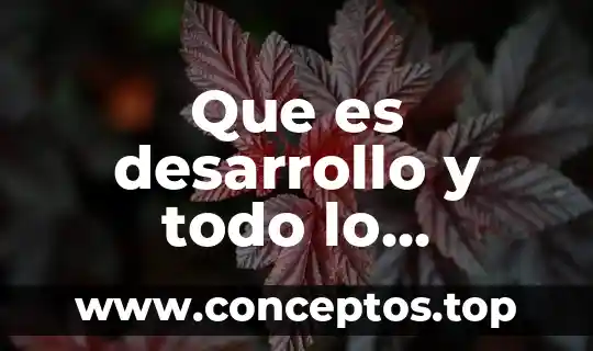 Arniaca que es que cura todo sobre esta planta 3 Que es desarrollo y todo lo relacionado con ella