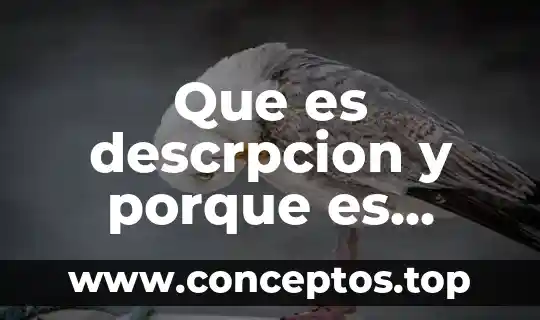 Que es descrpcion y porque es importante