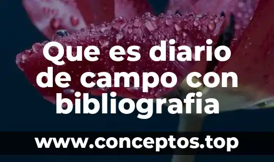 Que es diario de campo con bibliografia