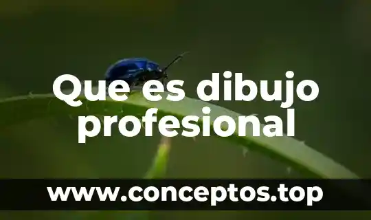 Que es dibujo profesional