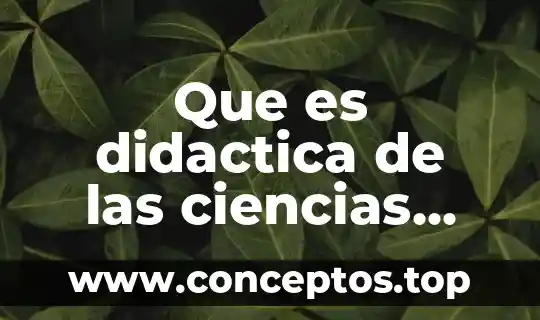 Que es didactica de las ciencias sociales