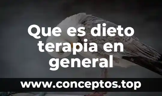 Que es dieto terapia en general