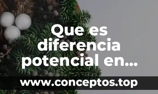 Que es diferencia potencial en fisica