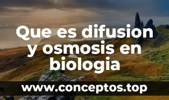 Que es difusion y osmosis en biologia