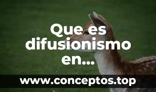 Que es comunicacion bidireccional definicion 5 Que es difusionismo en comunicacion